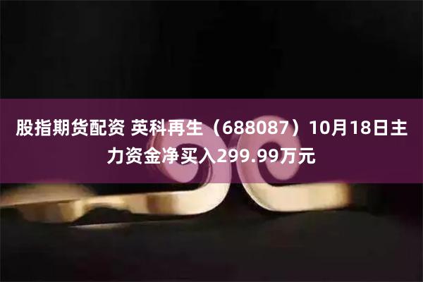 股指期货配资 英科再生（688087）10月18日主力资金净买入299.99万元