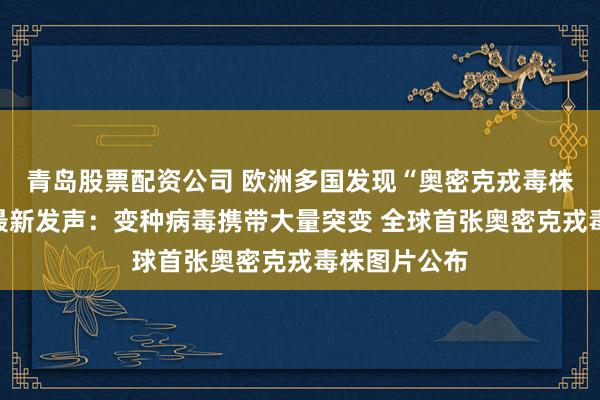 青岛股票配资公司 欧洲多国发现“奥密克戎毒株”！钟南山最新发声：变种病毒携带大量突变 全球首张奥密克戎毒株图片公布