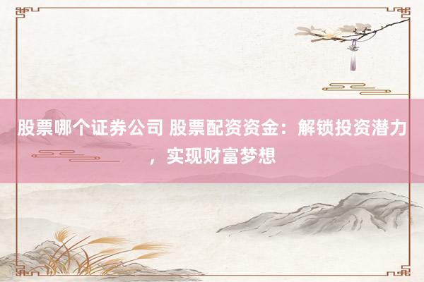 股票哪个证券公司 股票配资资金：解锁投资潜力，实现财富梦想