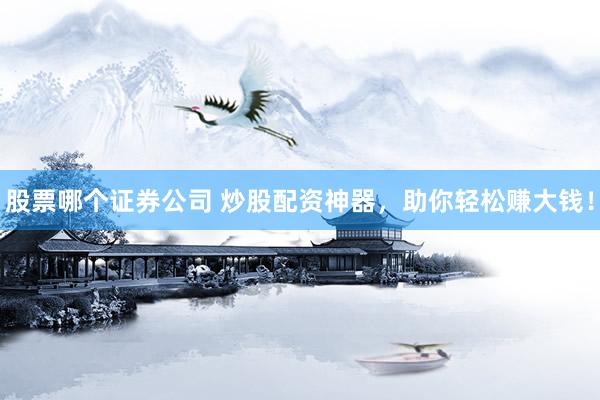 股票哪个证券公司 炒股配资神器，助你轻松赚大钱！